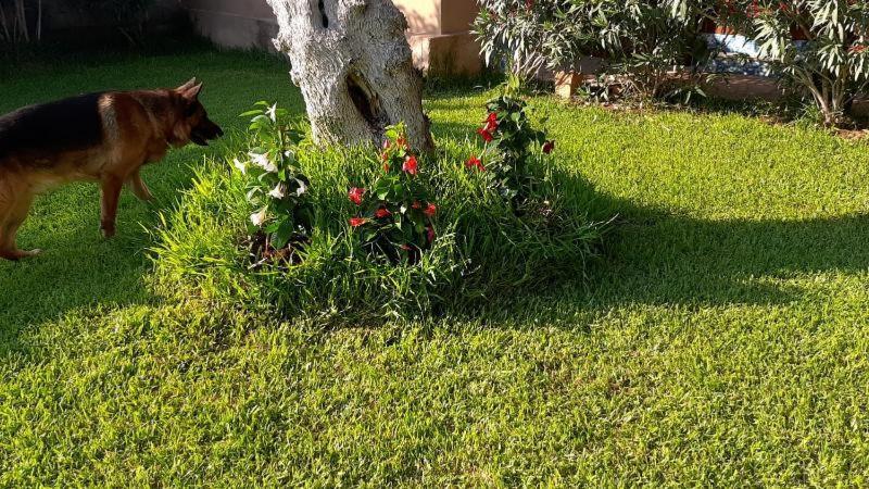 Villa Girasole Monteroni di Lecce Buitenkant foto